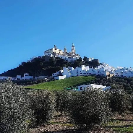 Σπίτι διακοπών Olive Tree Self-catering *