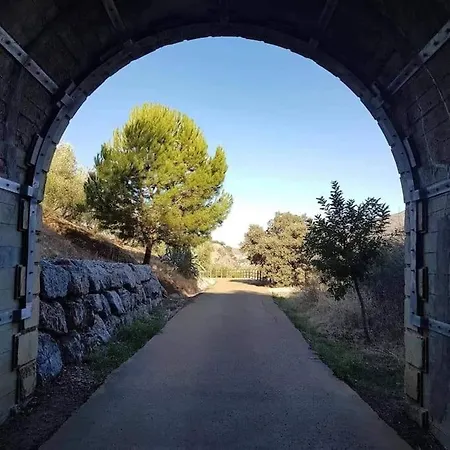 Olive Tree Self-catering Σπίτι διακοπών *